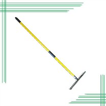 Cineálacha Éagsúla Rake